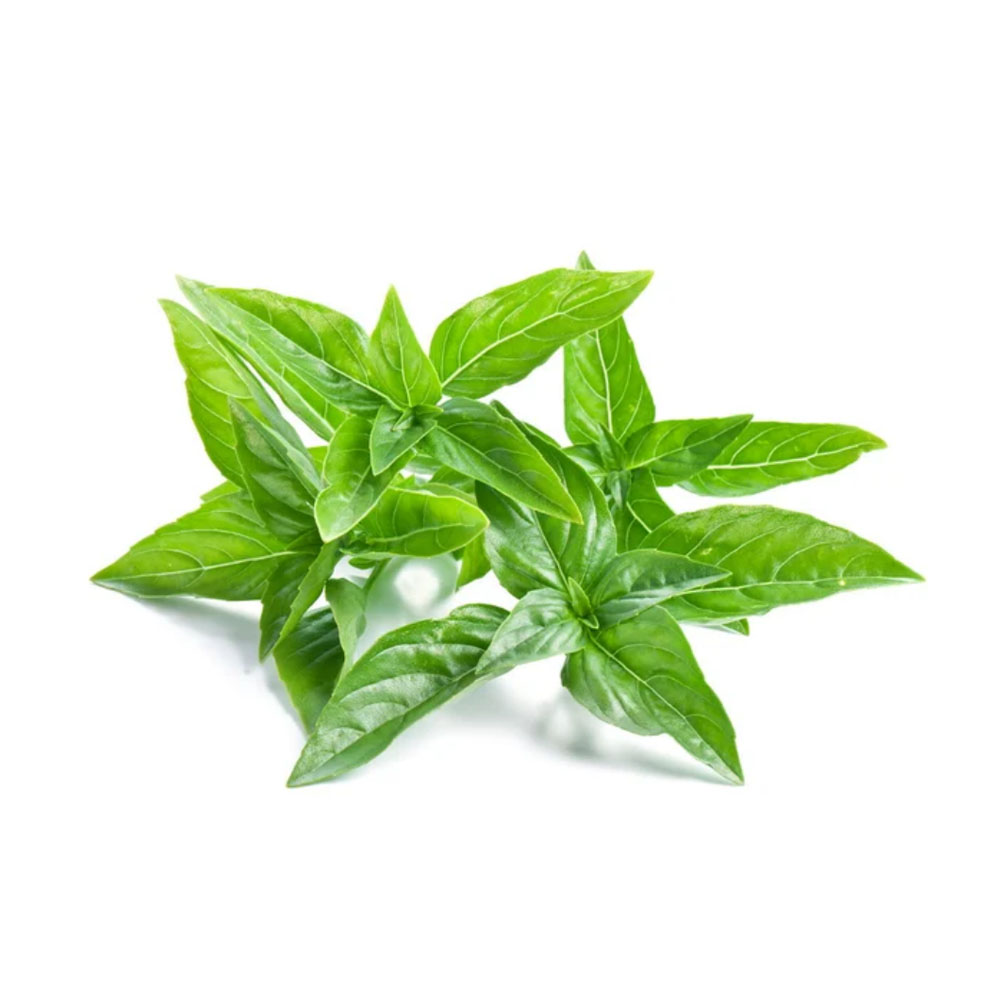 sen da gia re Ho Chi Minh